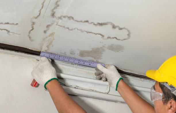 Reliable Sewage Cleanup contractor in Evansville, IL by Water Damage Irwin